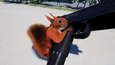 PS5 Squirrel with a Gun (R2/Eng/Chi)