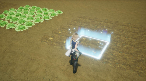 Nintendo Switch Harvestella