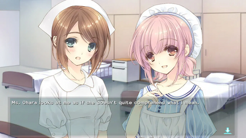 Nintendo Switch Nurse Love Obsession