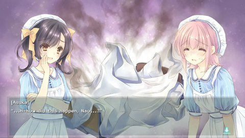 Nintendo Switch Nurse Love Obsession