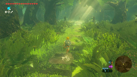 Nintendo Switch 2 The Legend of Zelda: Breath of the Wild